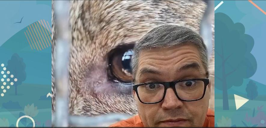 O dia em que o chupa-cabras apareceu em Mogi das Cruzes