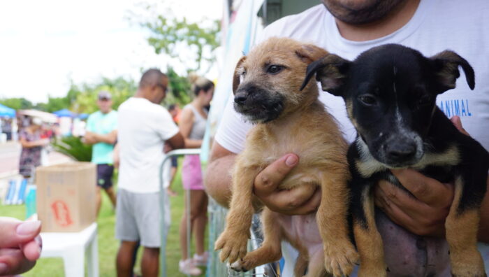 ONG FERA, de Mogi, celebra décimo aniversário com festa para tutores e animais adotados