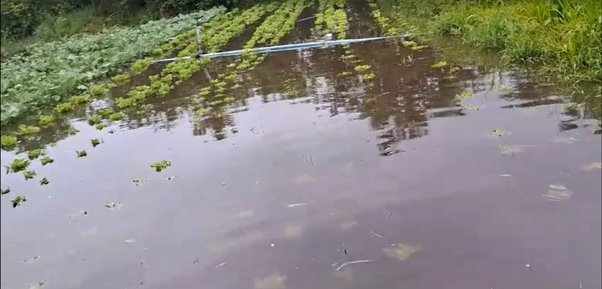 Alto Tietê registra diversos pontos de alagamento após madrugada de chuvas