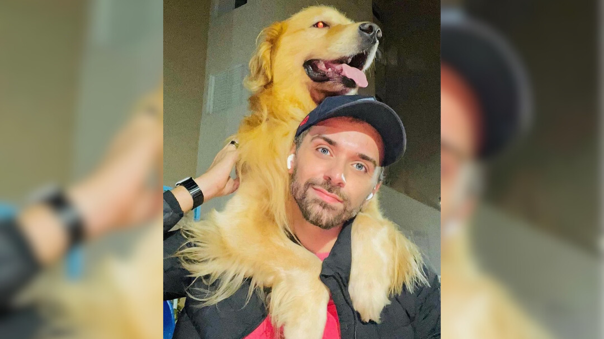 Após falha em transporte aéreo da Gol, cachorro chega morto no aeroporto de Guarulhos