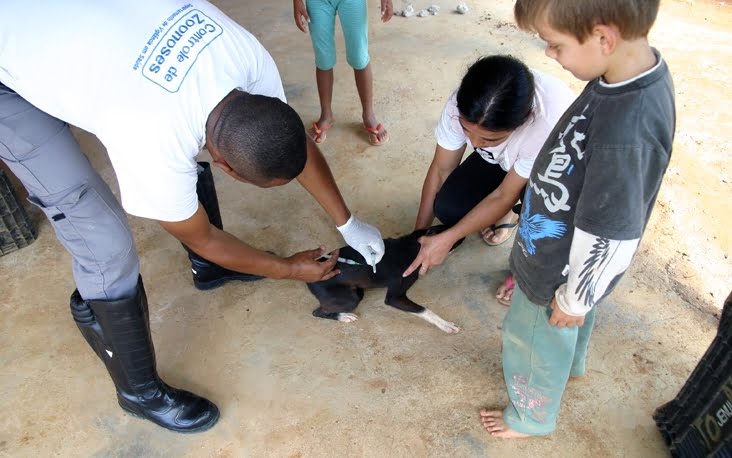 Vacinação contra a raiva para cães e gatos acontece neste sábado, em Mogi