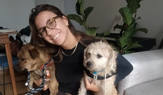 Animais resgatados em tragédia do RS chegam a Mogi e recebem lar temporário