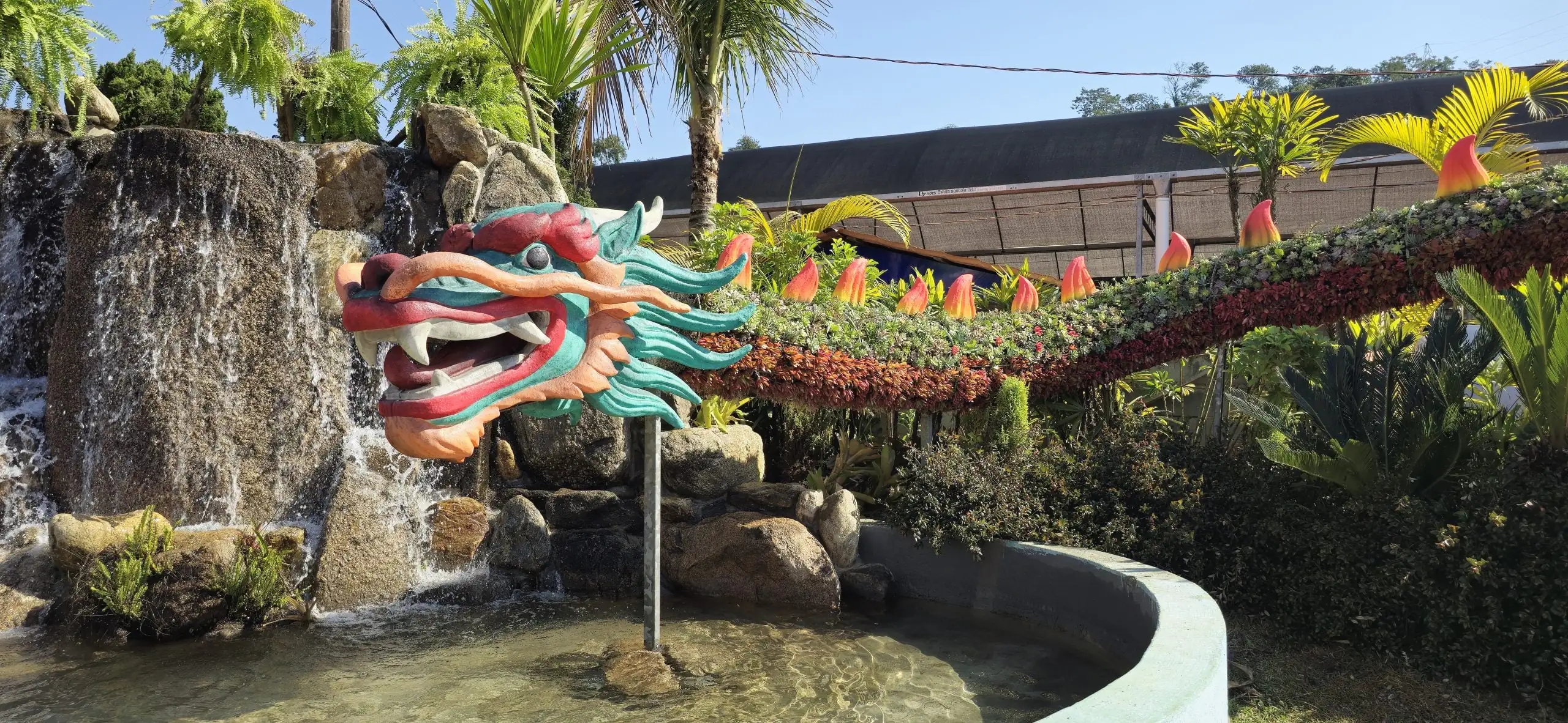 Expo Aflord de Arujá continua neste final de semana com exposição e venda de  flores, shows e gastronomia japonesa