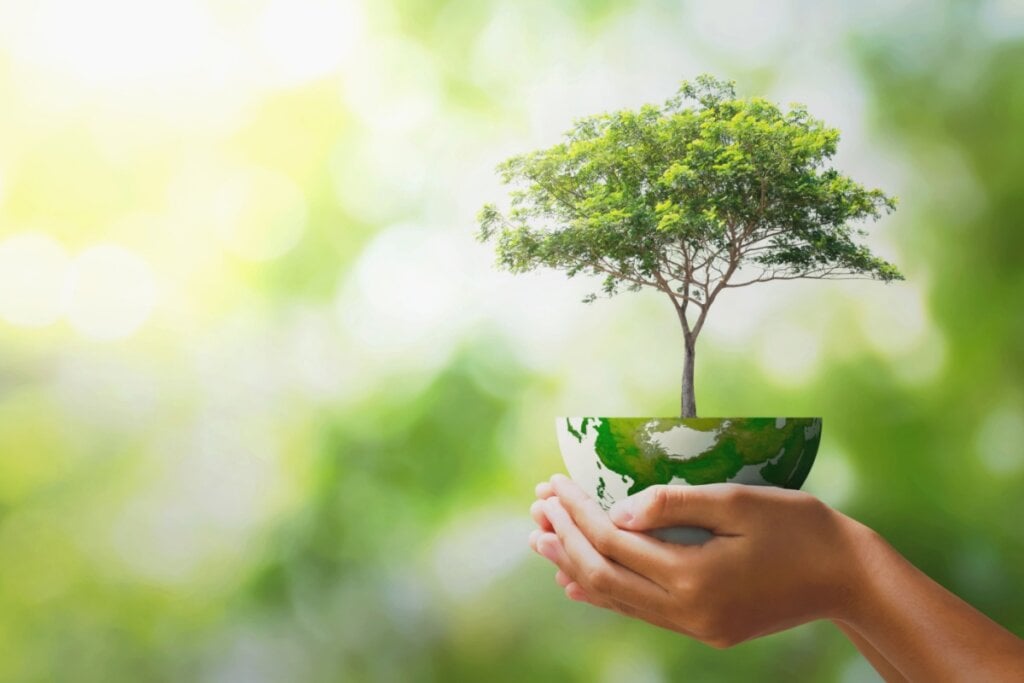 Pessoa segurando a representação do planeta Terra com uma árvore saindo dele 