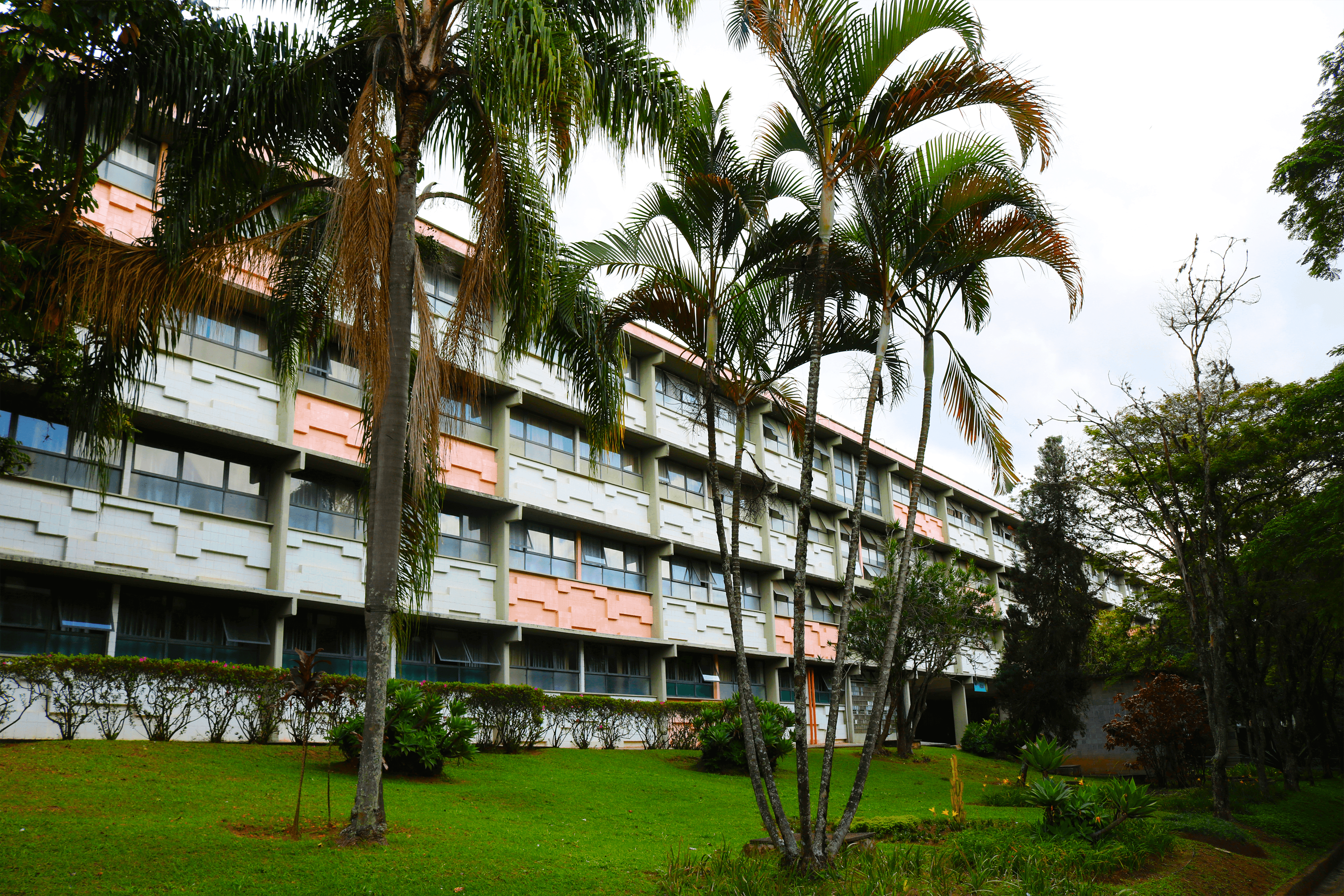 Conheça mais sobre o curso de Psicologia da UMC, com 55 anos ininterruptos em atividade