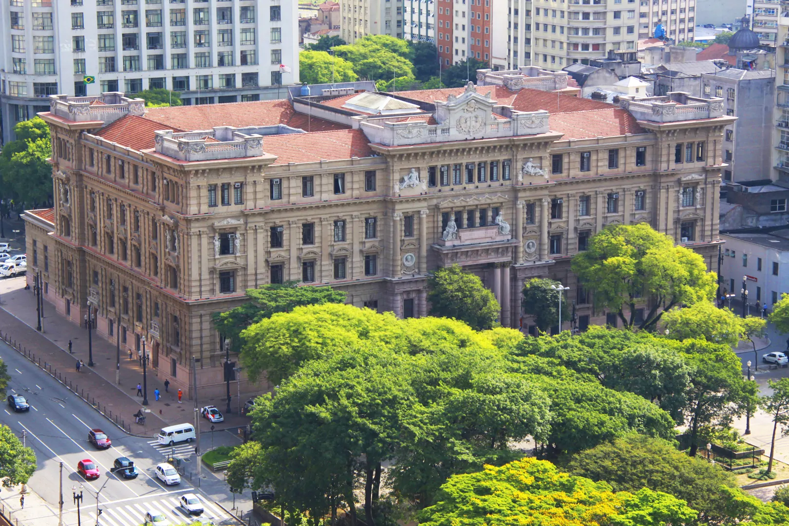Justiça obriga irmã devolver cadela ao irmão dois anos após discussão familiar em Mogi das Cruzes
