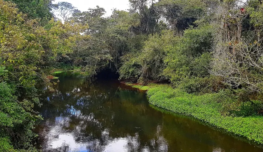 Mogi terá visita monitorada e programação especial no Dia da Água; confira