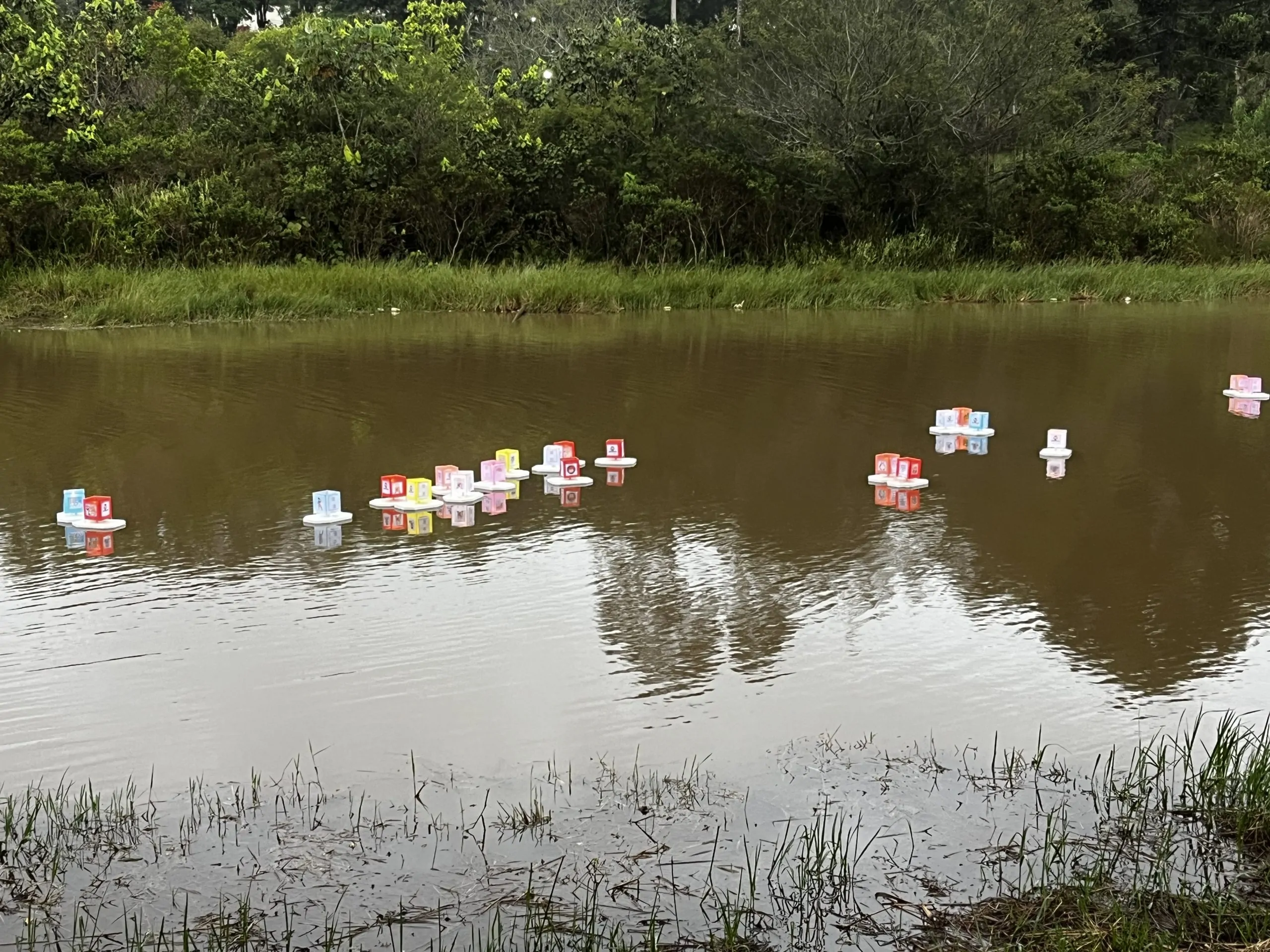 “Cada lanterna é como uma oração silenciosa”, diz mogiana que participa do Tooro Nagashi desde a infância