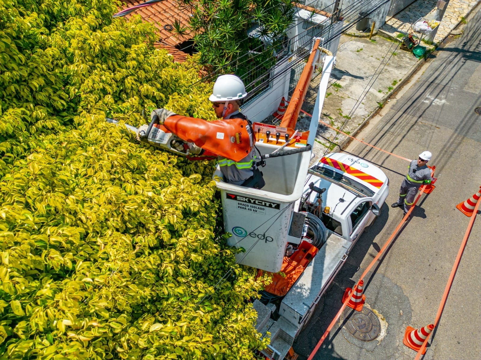 EDP realiza mutirão de podas e manutenção preventiva em bairros de Suzano