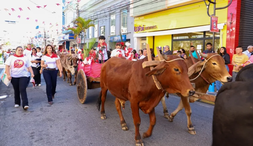 Festa do Divino exige documentação de animais para participar da Entrada dos Palmitos