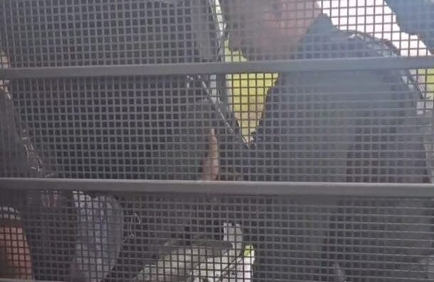 Corpo encontrado dentro de caixas seria incendiado por suspeito, diz Prefeitura de Suzano