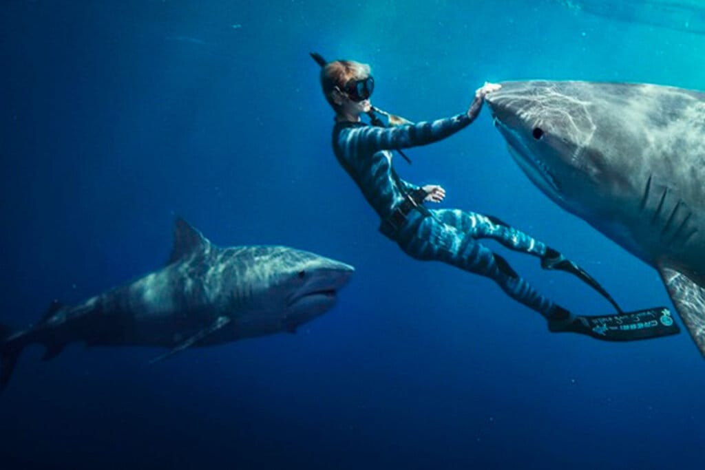 5 lançamentos da Netflix para a semana de 30 de junho a 6 de julho