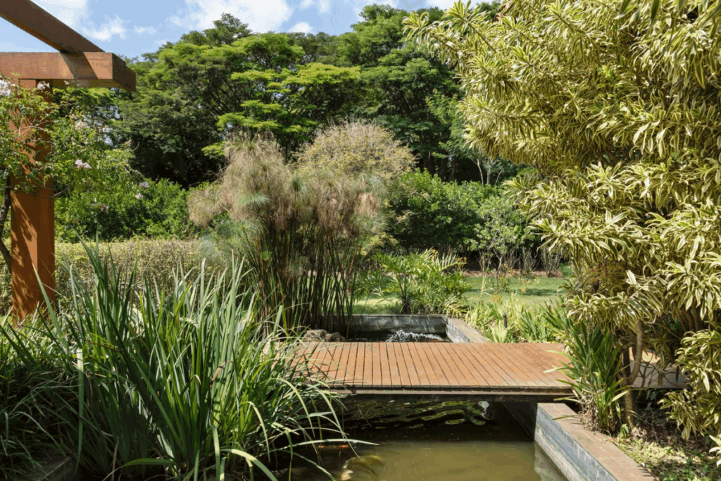 5 cuidados essenciais com as plantas no inverno