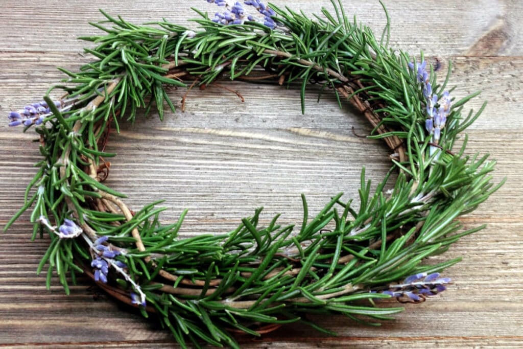 Saiba como usar o alecrim para afastar energias negativas