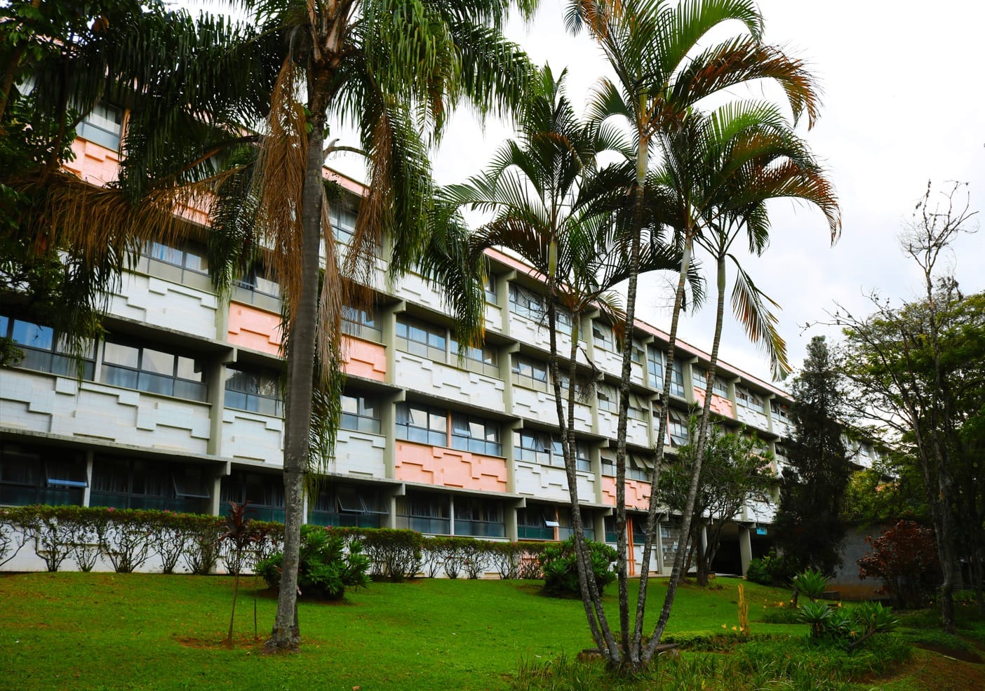 Quer descobrir seu caminho profissional ou repensar sua carreira? A UMC oferece orientação profissional