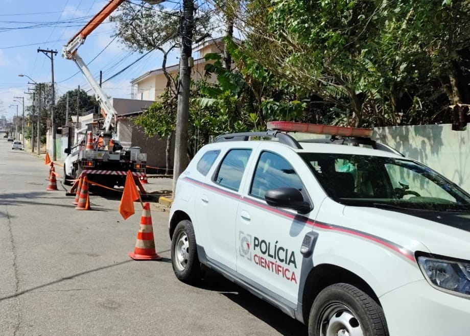 Dono de criadouro de peixes em Mogi é preso por furto de energia estimado em R$ 10 mil