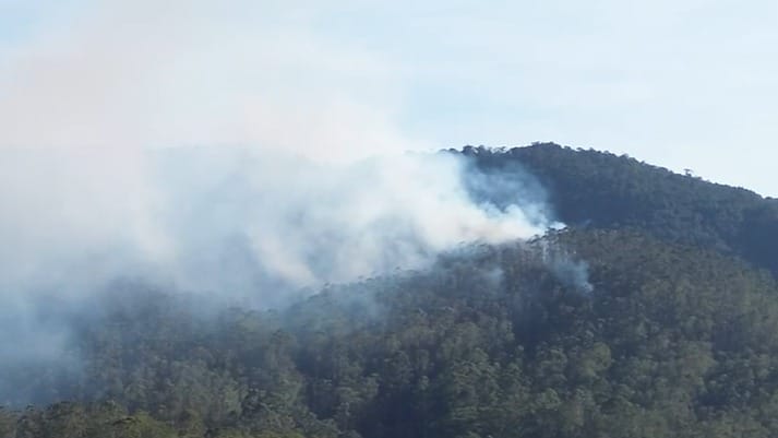 Vídeo: Bombeiros combatem incêndio na Serra do Itapeti em Mogi as Cruzes