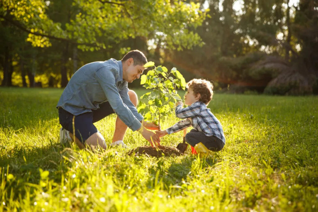 Pai vestindo camisa cinza e shorts com filho de camisa xadrez, os dois estão plantando árvore sob o sol.