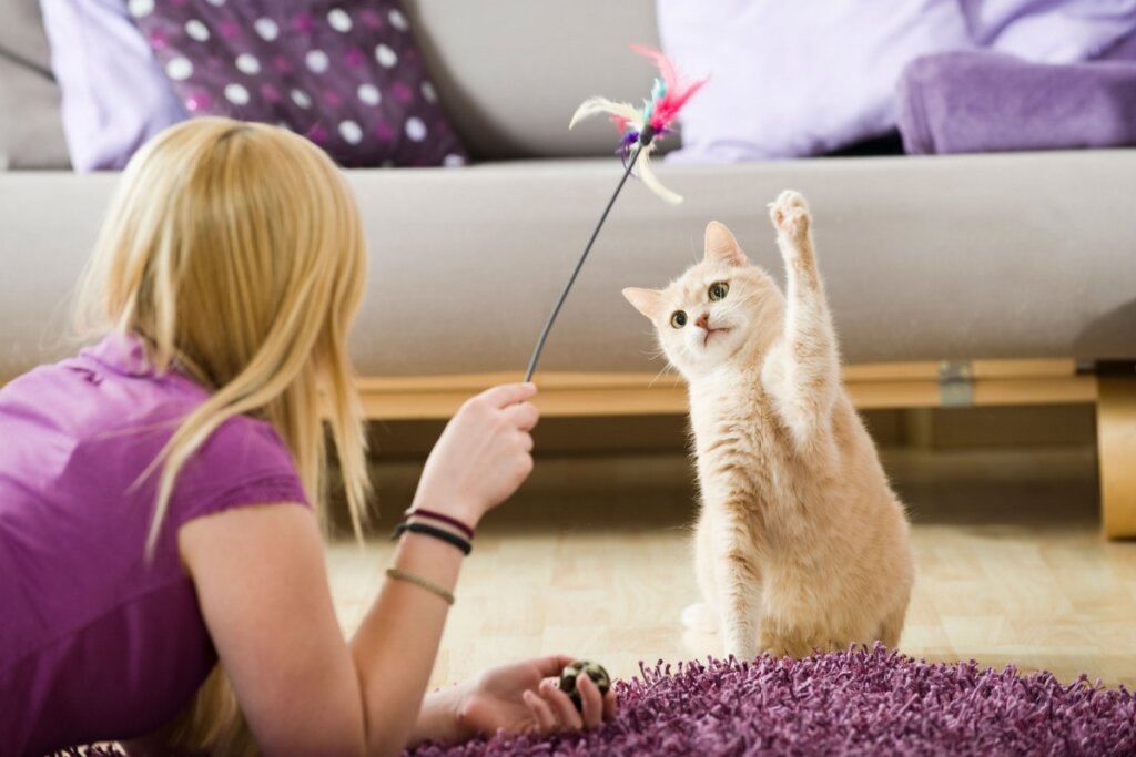 Jovem com cabelo loiro, liso, solto e usando camiseta roxa deitada no chão da sala brincando com gato 