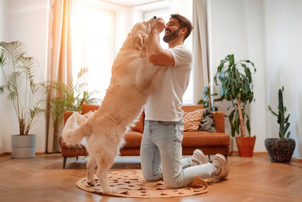 Golden retriever pulando em um homem enquanto ele sorri