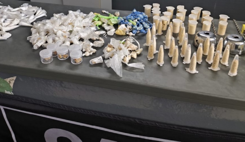 Canil da GCM de Mogi localiza quase 700 porções de drogas no Conjunto Santo Ângelo