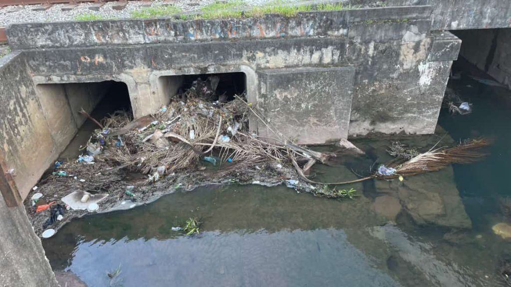 Córrego do Gregório antes da retirada desta semana | Foto: Arquivo pessoal