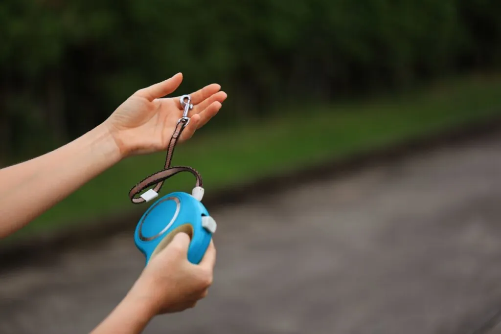 Coleira não é tudo igual: veja como escolher o modelo ideal