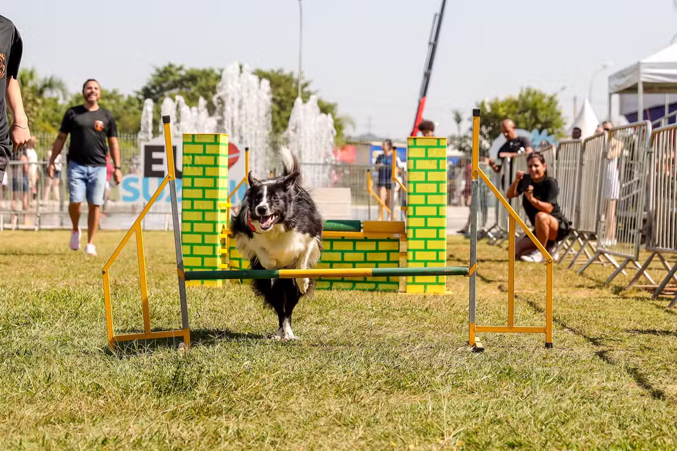 FestCão agora integra o calendário anual de eventos de Suzano
