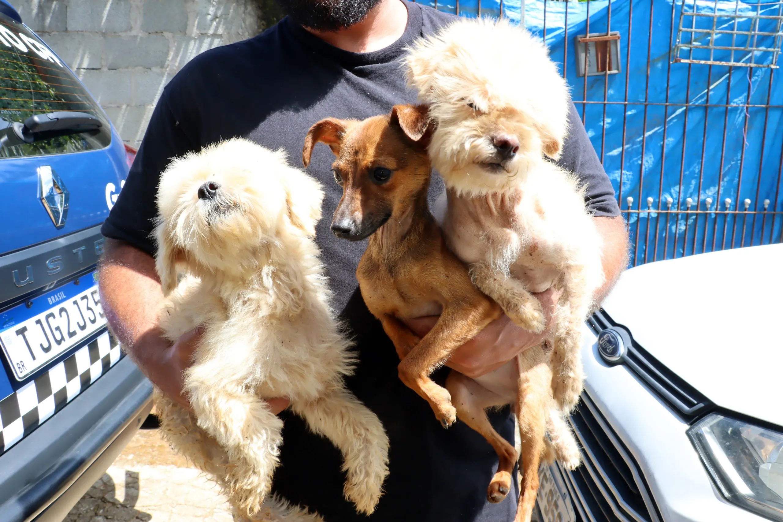 Cães em situação de maus-tratos são resgatados em Suzano