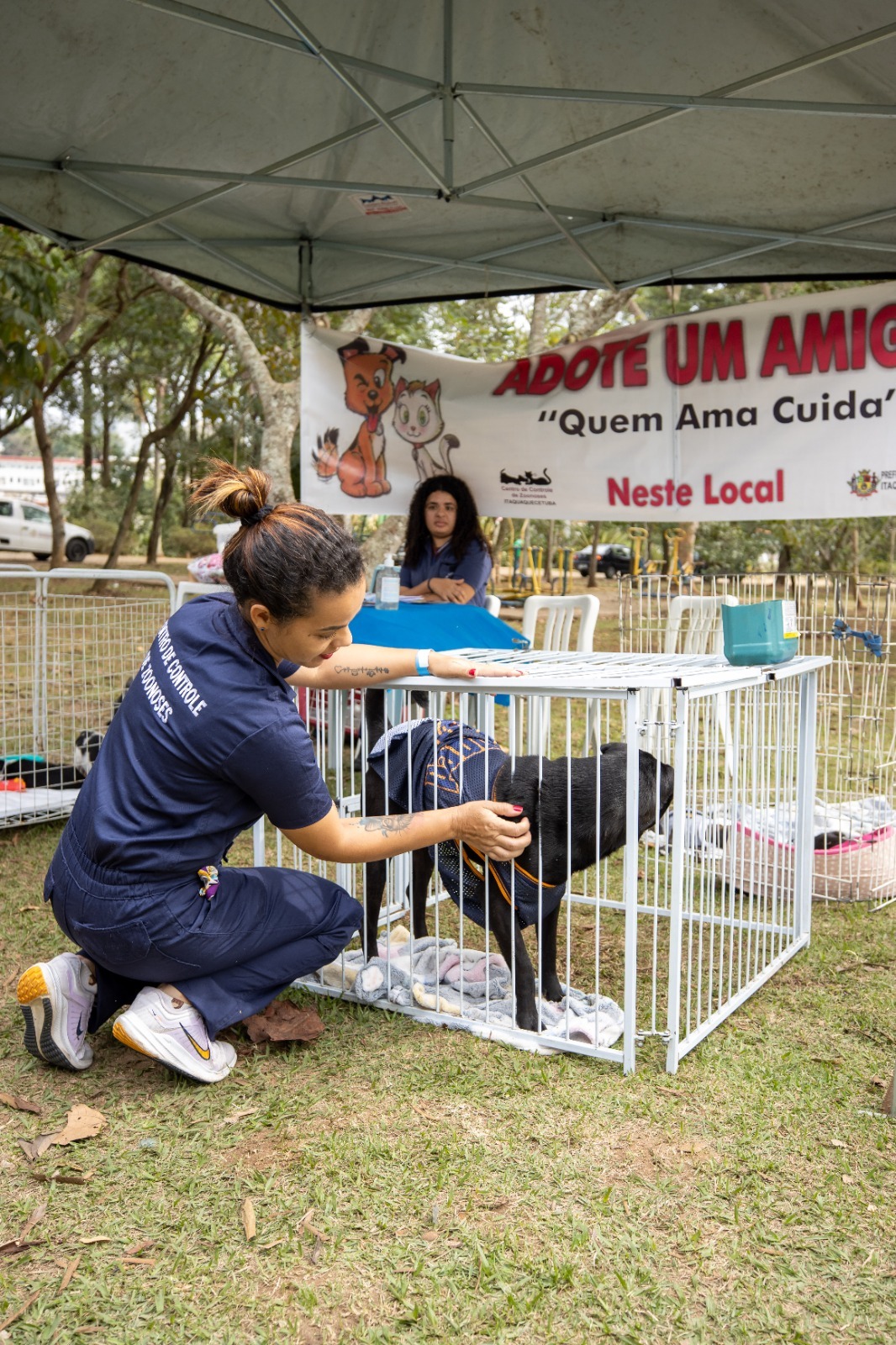 Itaquaquecetuba realiza feira de adoção de cães e gatos nesta quinta-feira (22)