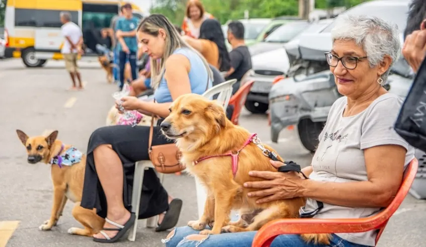 Vereadores de Mogi das Cruzes aprovam criação do Conselho e do Fundo de Bem-Estar Animal