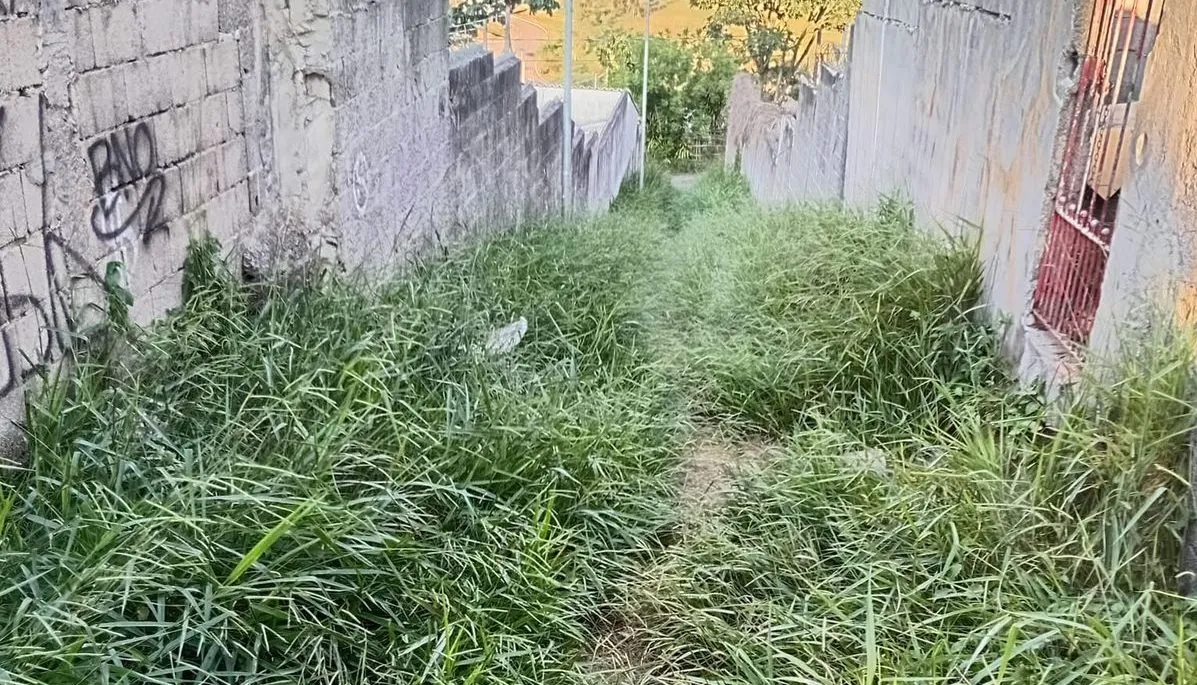 Moradora de Mogi das Cruzes reclama de vegetação alta em viela no Jardim Layr