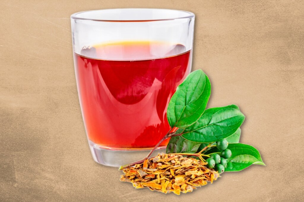 Frângula: para que serve, benefícios e como fazer o chá da planta