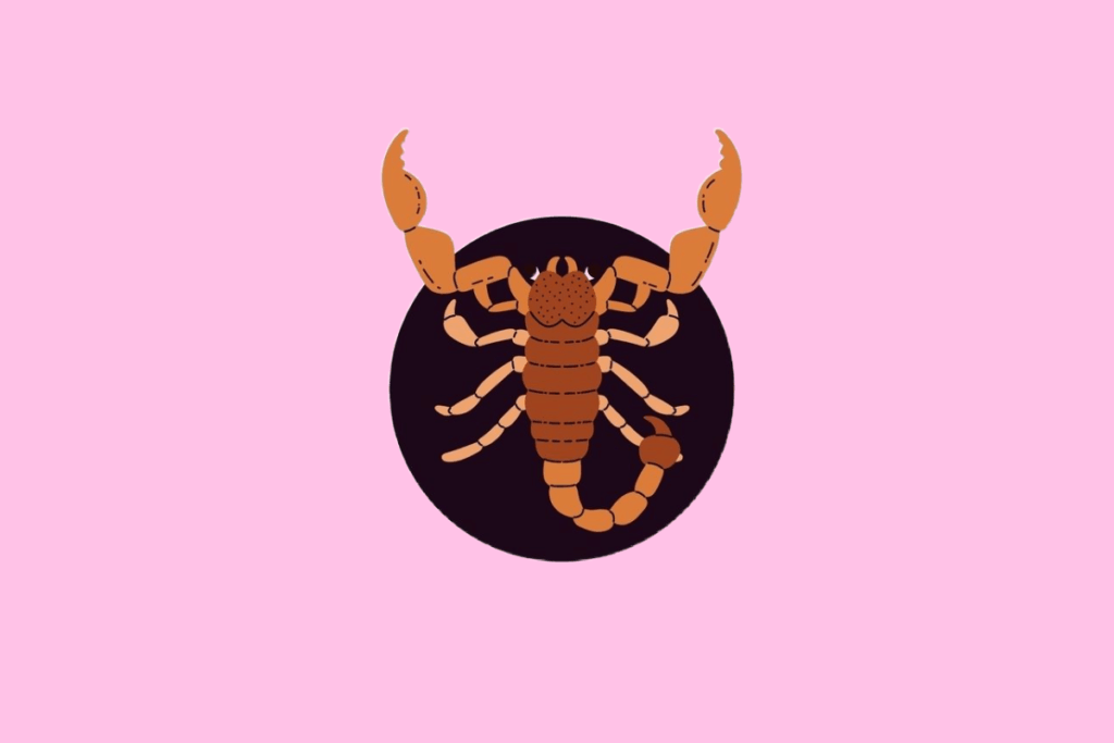 Ilustração de um escorpião marrom visto de cima, com as pinças levantadas e a cauda curvada exibindo o ferrão, em um fundo rosa