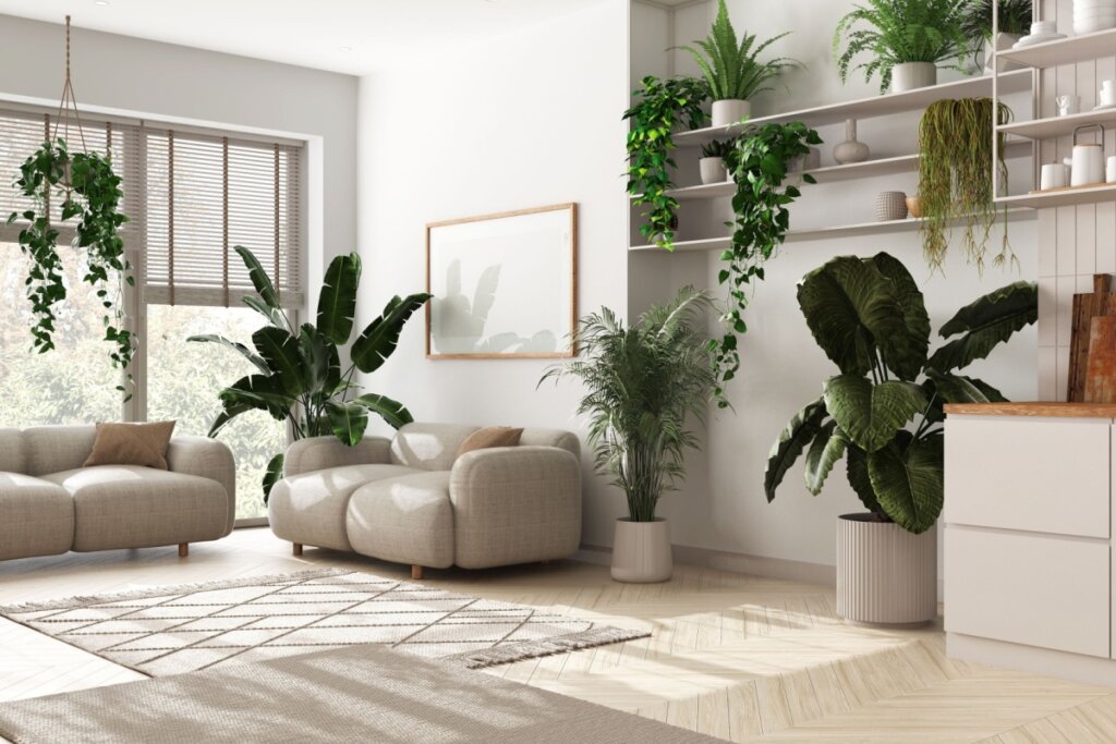 Sala de estar com sofás claros e com formas orgânicas e diversos vasos de planta pela sala