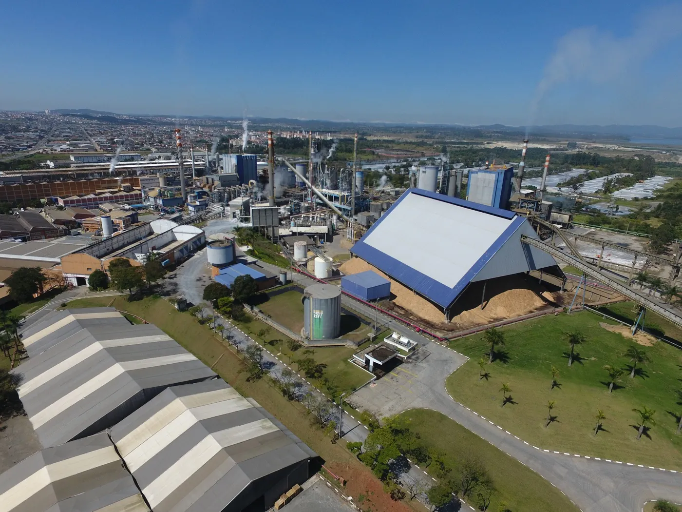 Suzano S/A abre 180 vagas de estágio superior e técnico na região e em São Paulo
