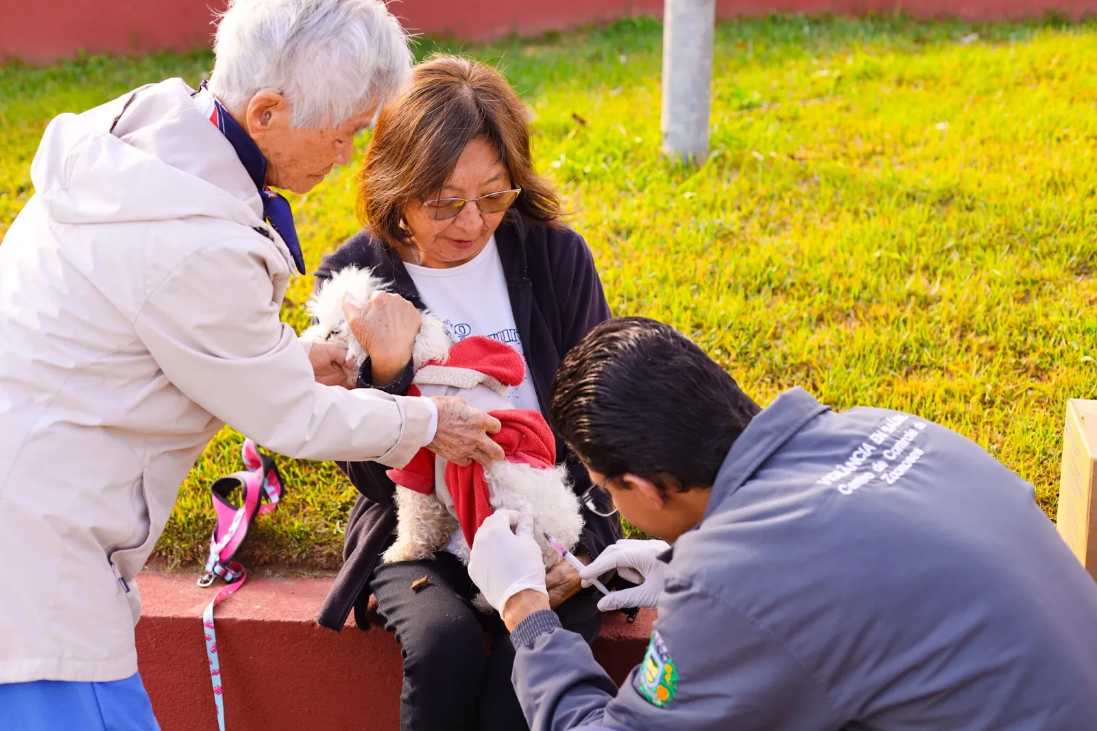 Guararema realiza vacinação antirrábica em cães e gatos nesta sexta