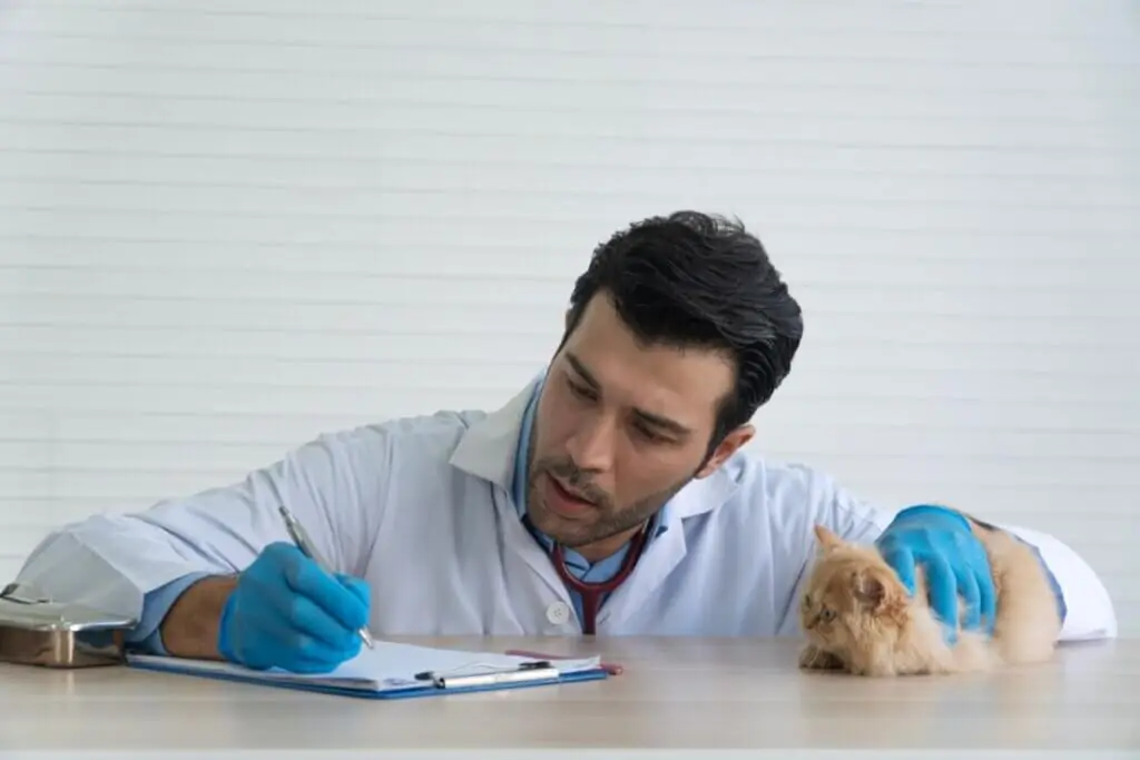 Seu pet tem histórico médico ou apenas uma coleção de exames?