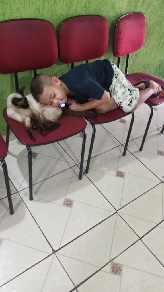 Breno tem dois gatos de estimação | Foto: acervo pessoal
