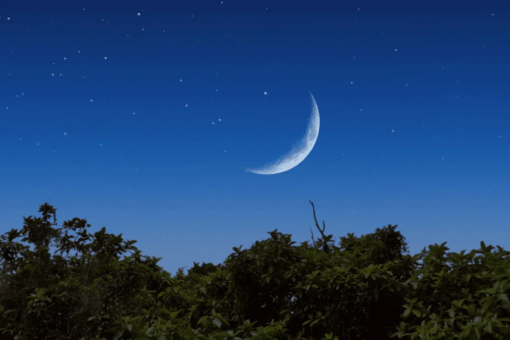 Lua hoje: veja qual é a fase lunar desta segunda-feira, 13 de julho de 2026