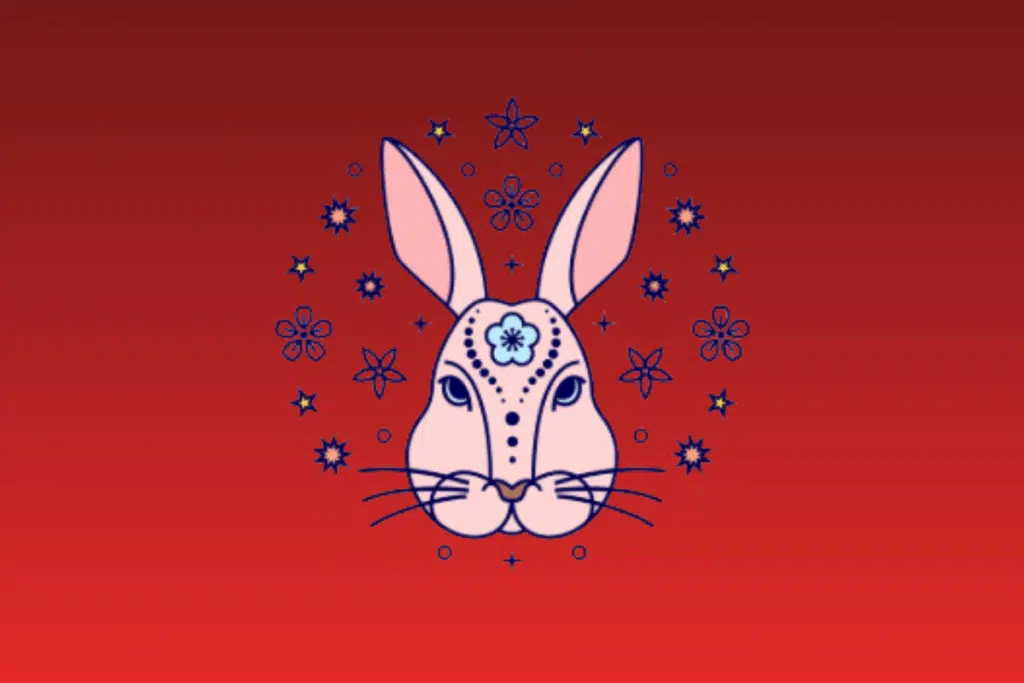 Ilustração estilizada da cabeça de um coelho rosa claro com orelhas compridas e detalhes decorativos, cercado por flores e estrelas sobre fundo vermelho gradiente.