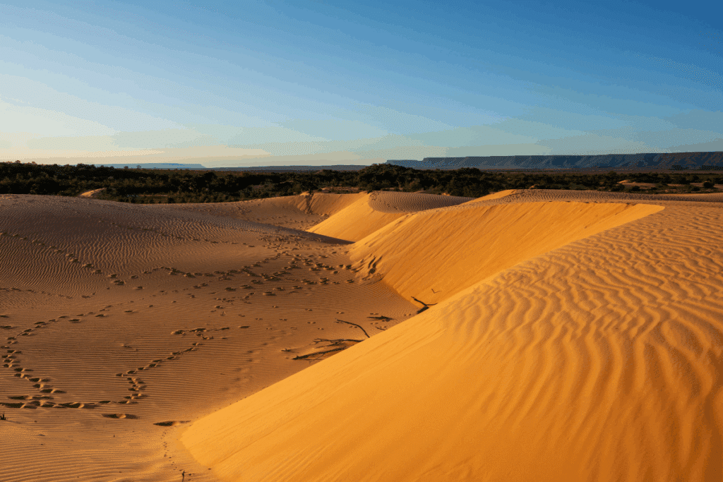 Imagem das Dunas do Jalapão ao pôr do sol e com céu azul sem nuvens
