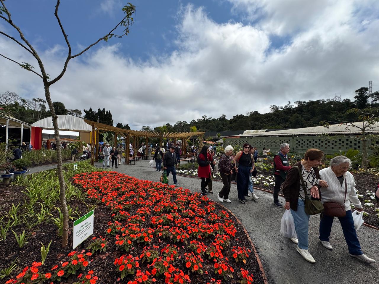 Expo Aflord tem programação com taikô, mágica e concurso de cosplay neste fim de semana