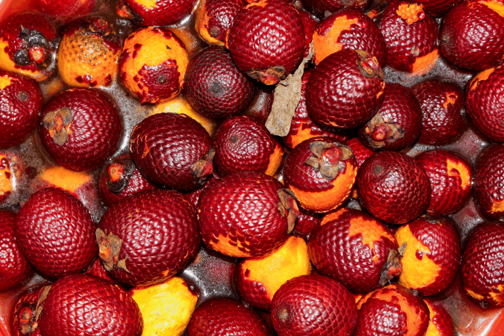 Buriti: descubra os benefícios do fruto e como incluí-lo na alimentação
