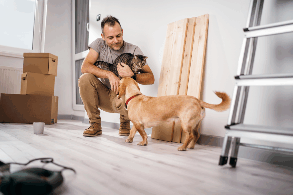 Reforma em casa pode afetar o comportamento dos pets? Veja como tornar esse período mais tranquilo