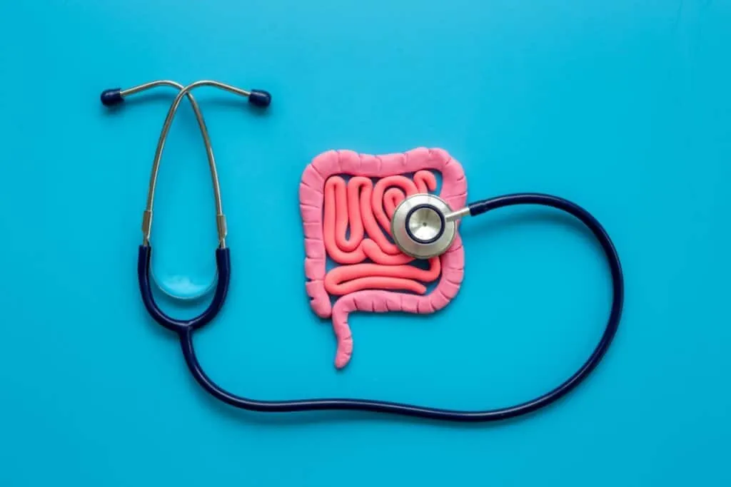 Síndrome do Intestino Irritável: entenda como as emoções podem desencadear os sintomas 