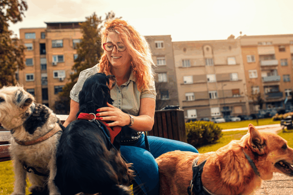 O que é preciso para ser passeador de cães? Veja como trabalhar como dog walker com segurança e profissionalismo 