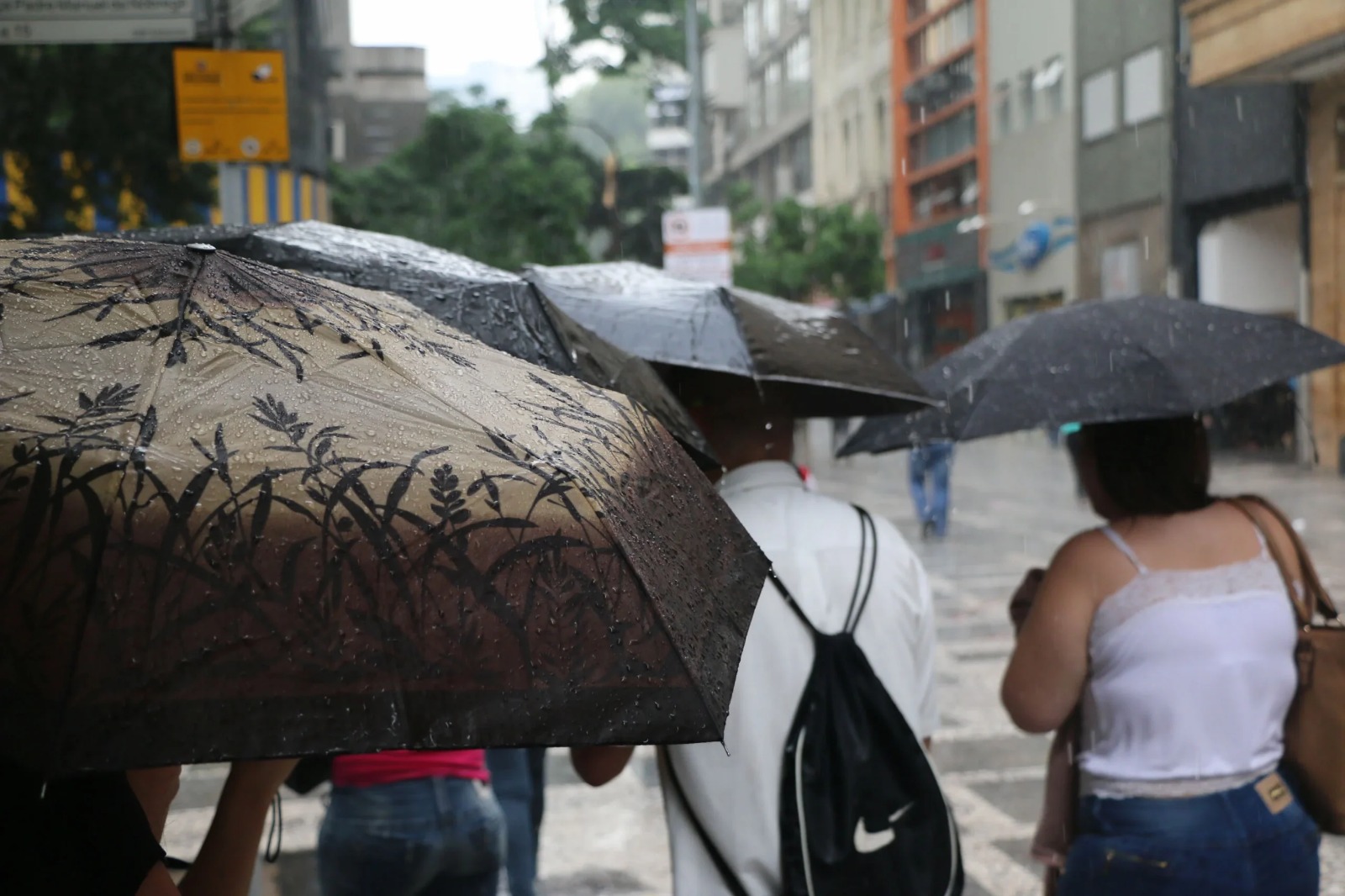 Defesa Civil alerta para chuva forte e ventos de até 65 km/h em regiões de SP