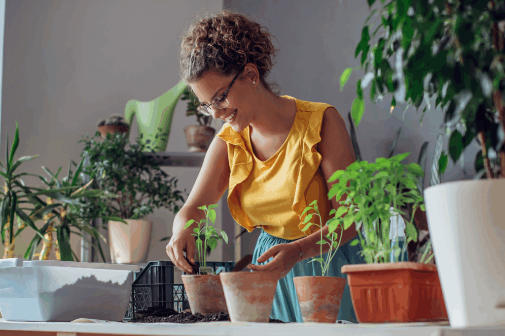O que é o equinócio da primavera? Entenda o fenômeno e aprenda rituais simbólicos 