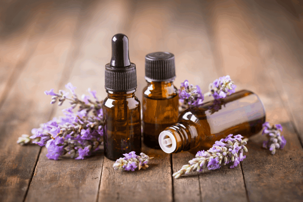Lavanda ajuda a relaxar? Conheça 7 benefícios da planta para a saúde